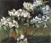 William Stott of Oldham White Rhododendrons Germany oil painting reproduction